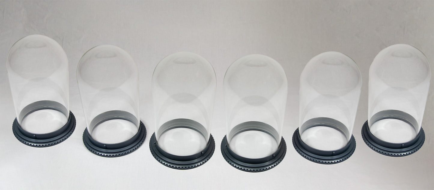A collection of six clear vessels with sturdy bases.