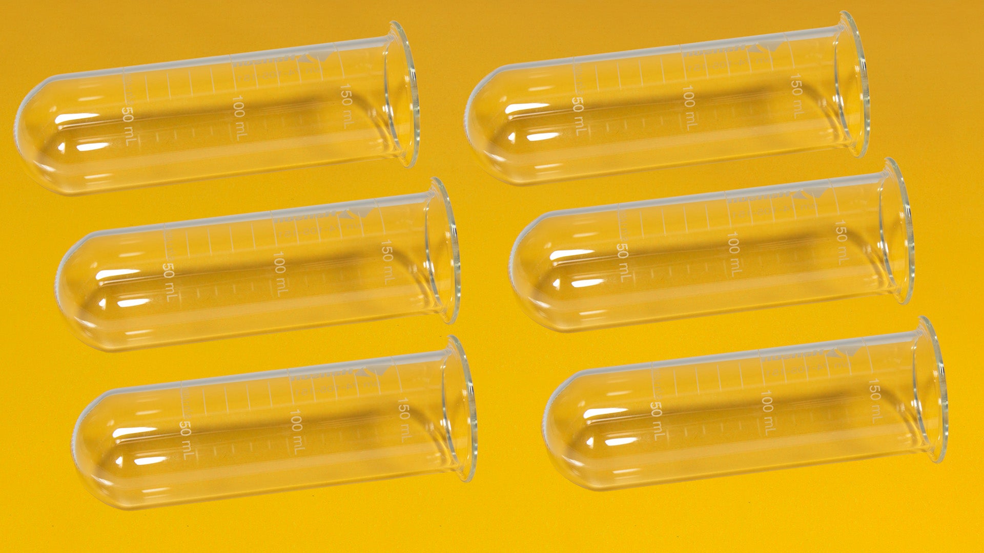 Six clear containers arranged neatly on a bright yellow background.